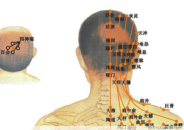 Ở bên trong sọ não ở phía sau đầu là vị trí của trung tâm điều chỉnh hô hấp và nhịp tim của cơ thể. (Ảnh: read01.com)